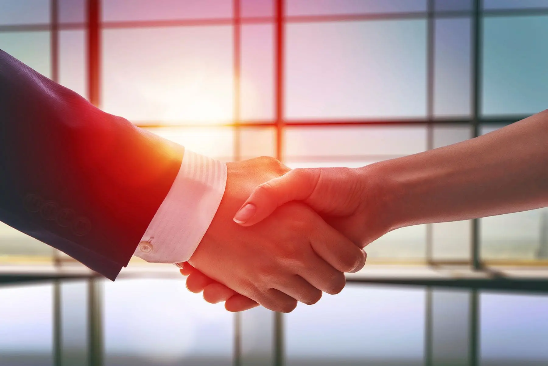 Two individuals are shaking hands in front of a window with sunlight streaming through.