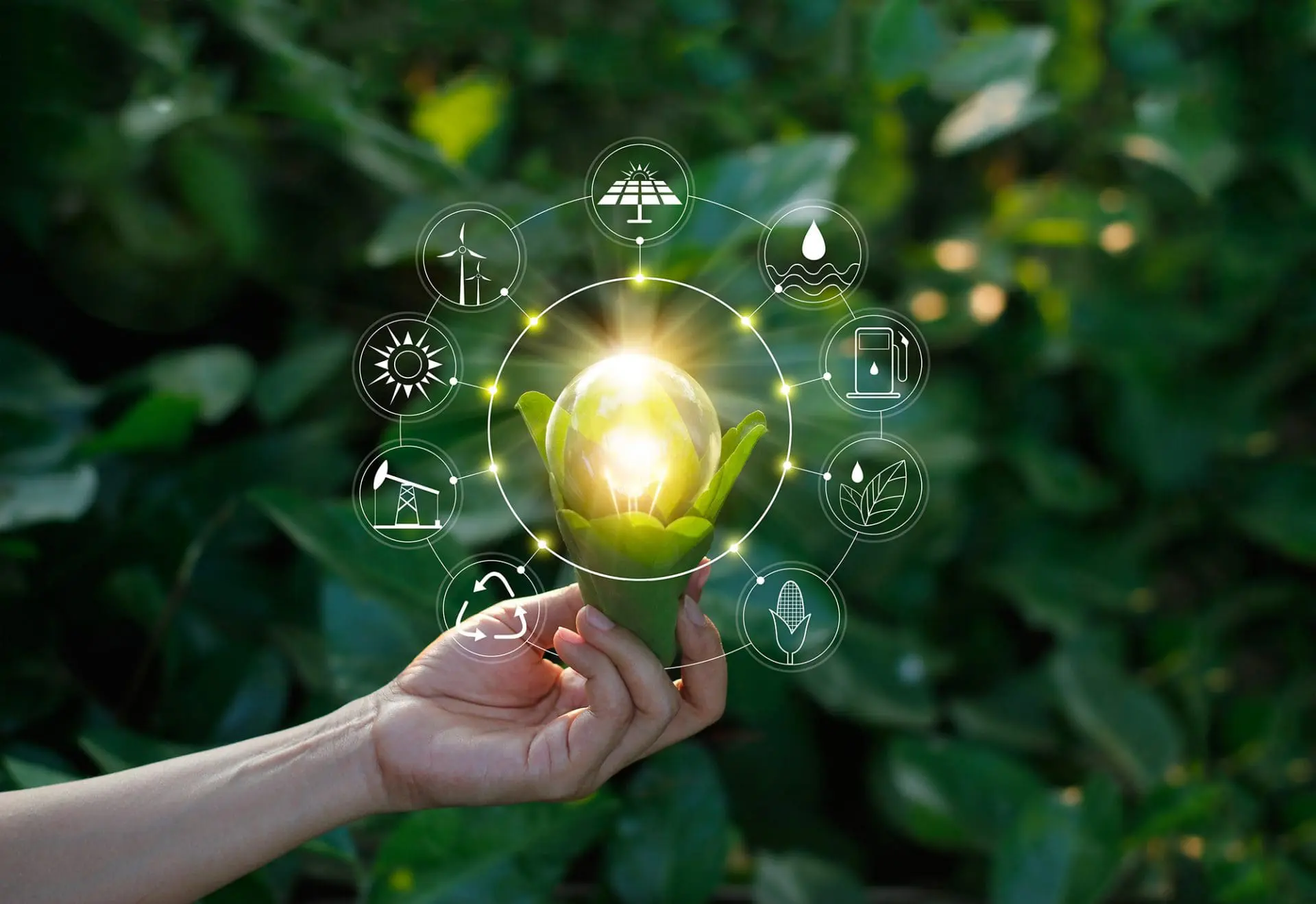 lightbulb environment