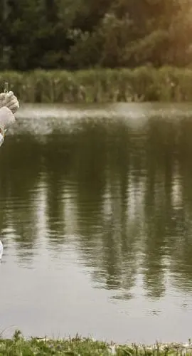 A person in a protective suit is kneeling by a body of water, possibly collecting a sample or examining the environment.