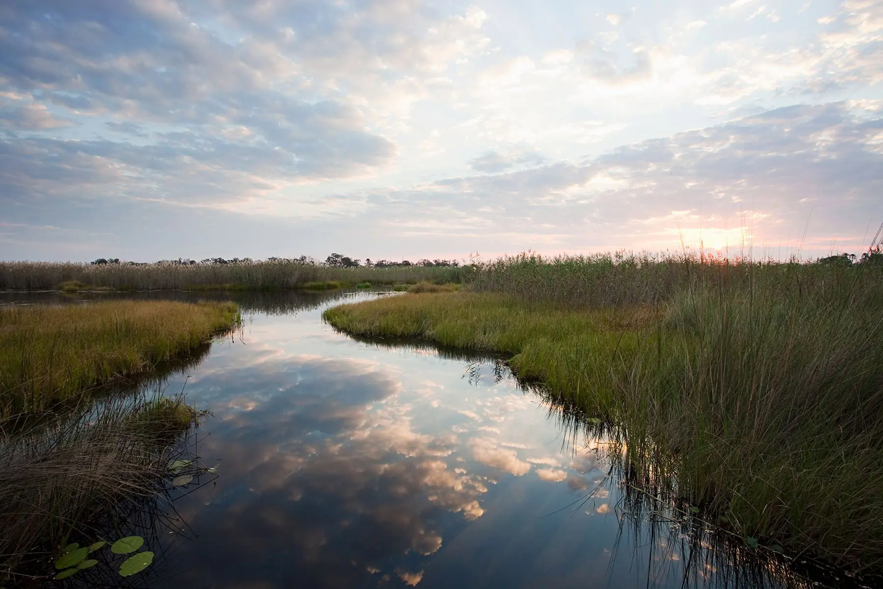 A tranquil wetlands scene with a waterway snaking through tall grasses under a pastel sky at dusk.