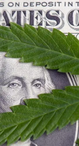 Hemp money